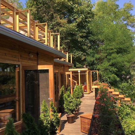 Skay Loft Bed & Breakfast Brasov Bagian luar foto