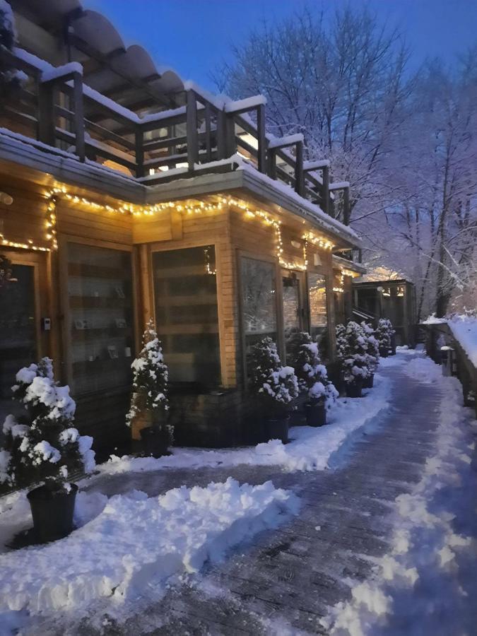 Skay Loft Bed & Breakfast Brasov Bagian luar foto