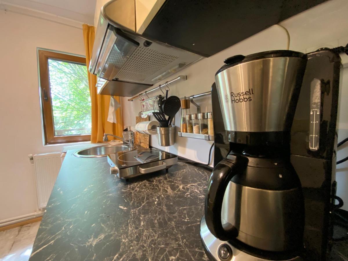 Skay Loft Bed & Breakfast Brasov Bagian luar foto