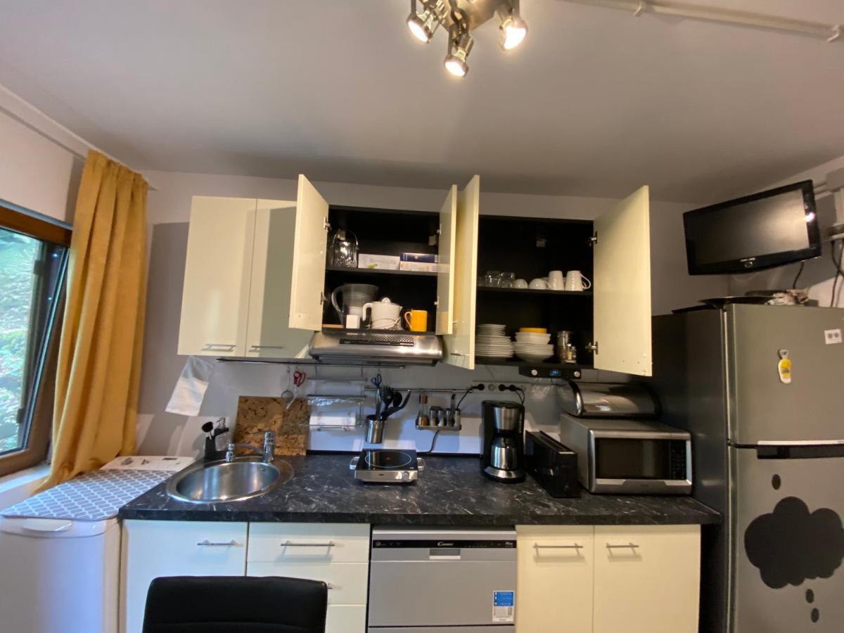 Skay Loft Bed & Breakfast Brasov Bagian luar foto