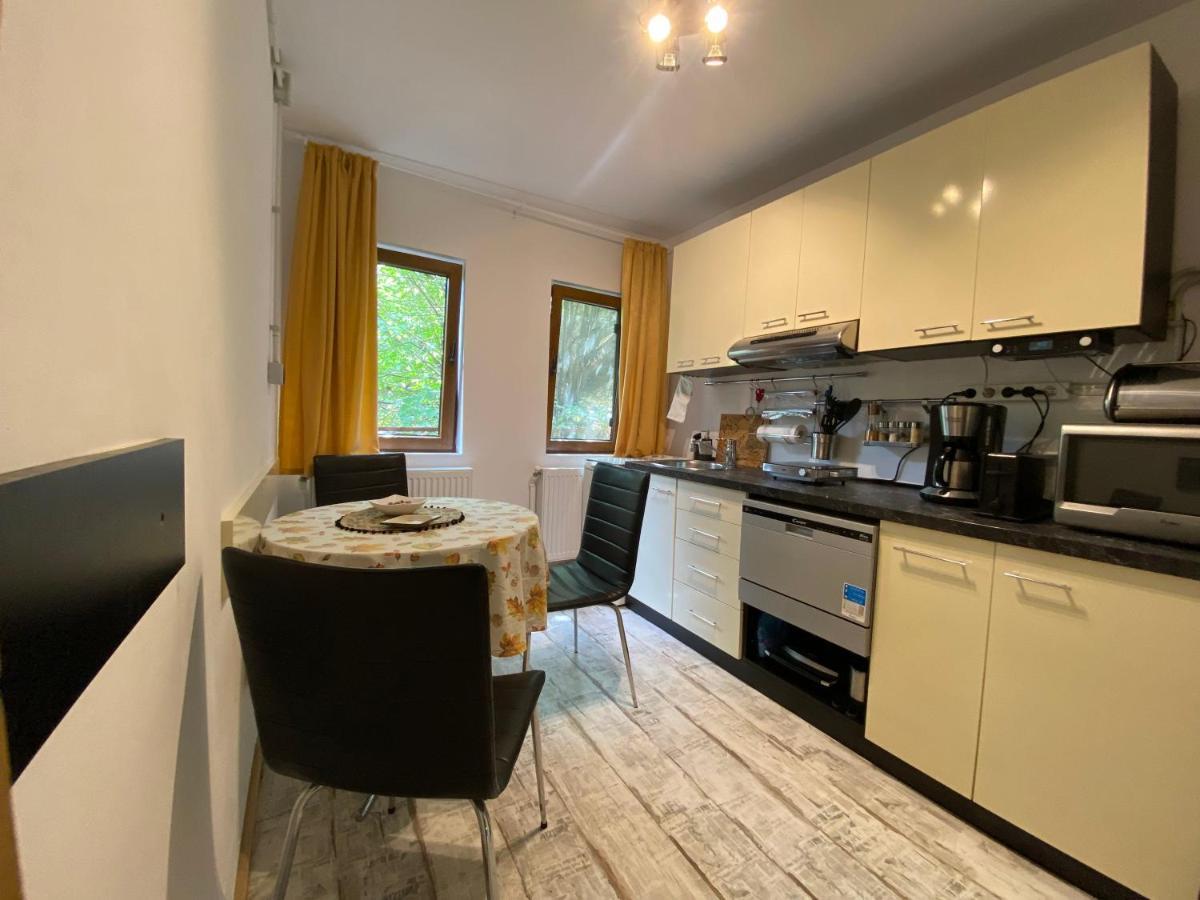 Skay Loft Bed & Breakfast Brasov Bagian luar foto