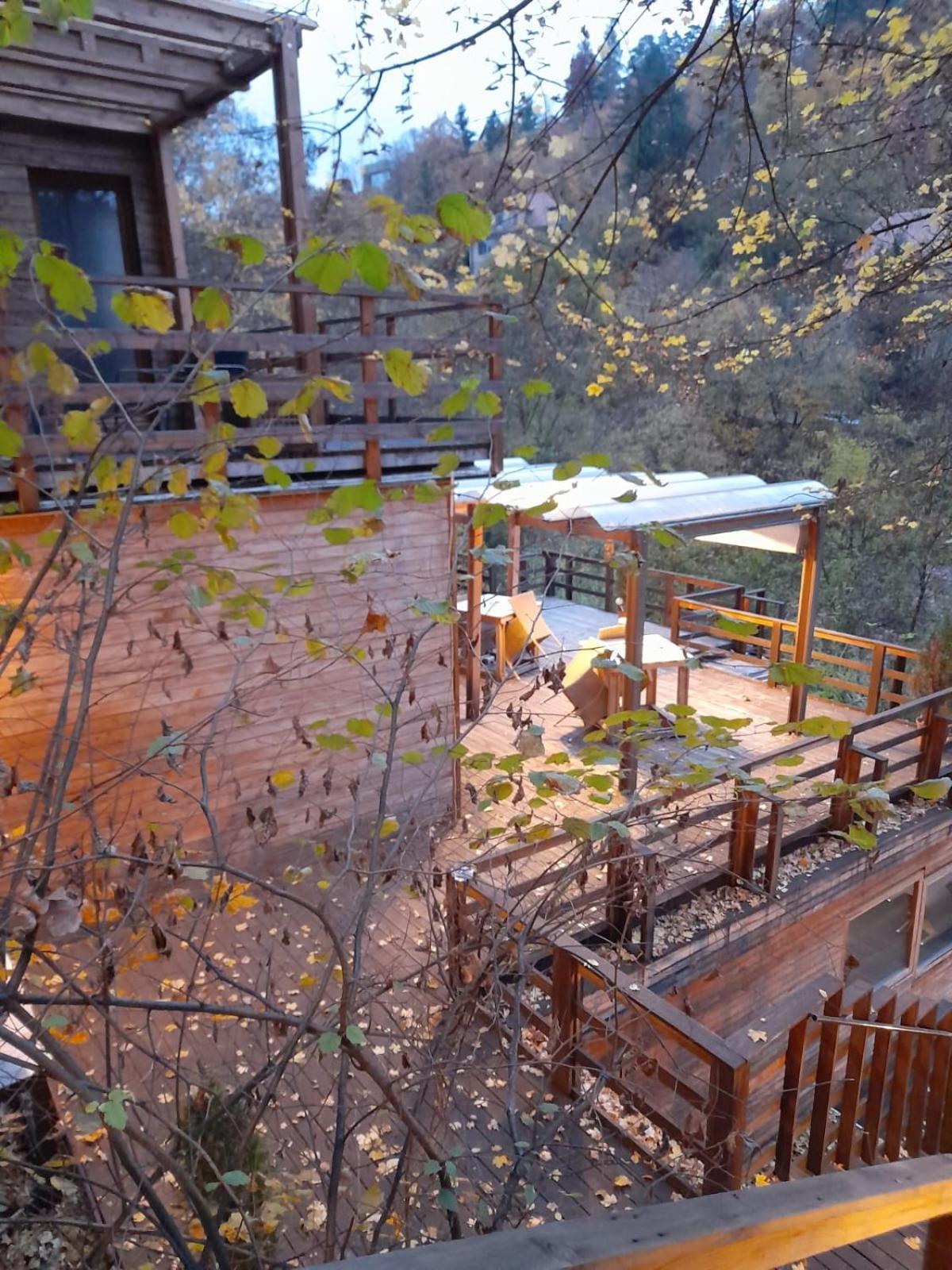Skay Loft Bed & Breakfast Brasov Bagian luar foto