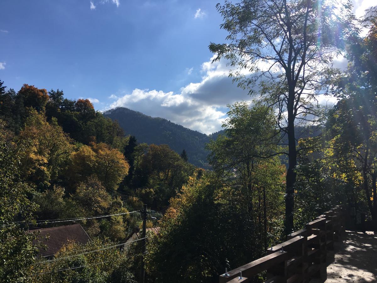 Skay Loft Bed & Breakfast Brasov Bagian luar foto